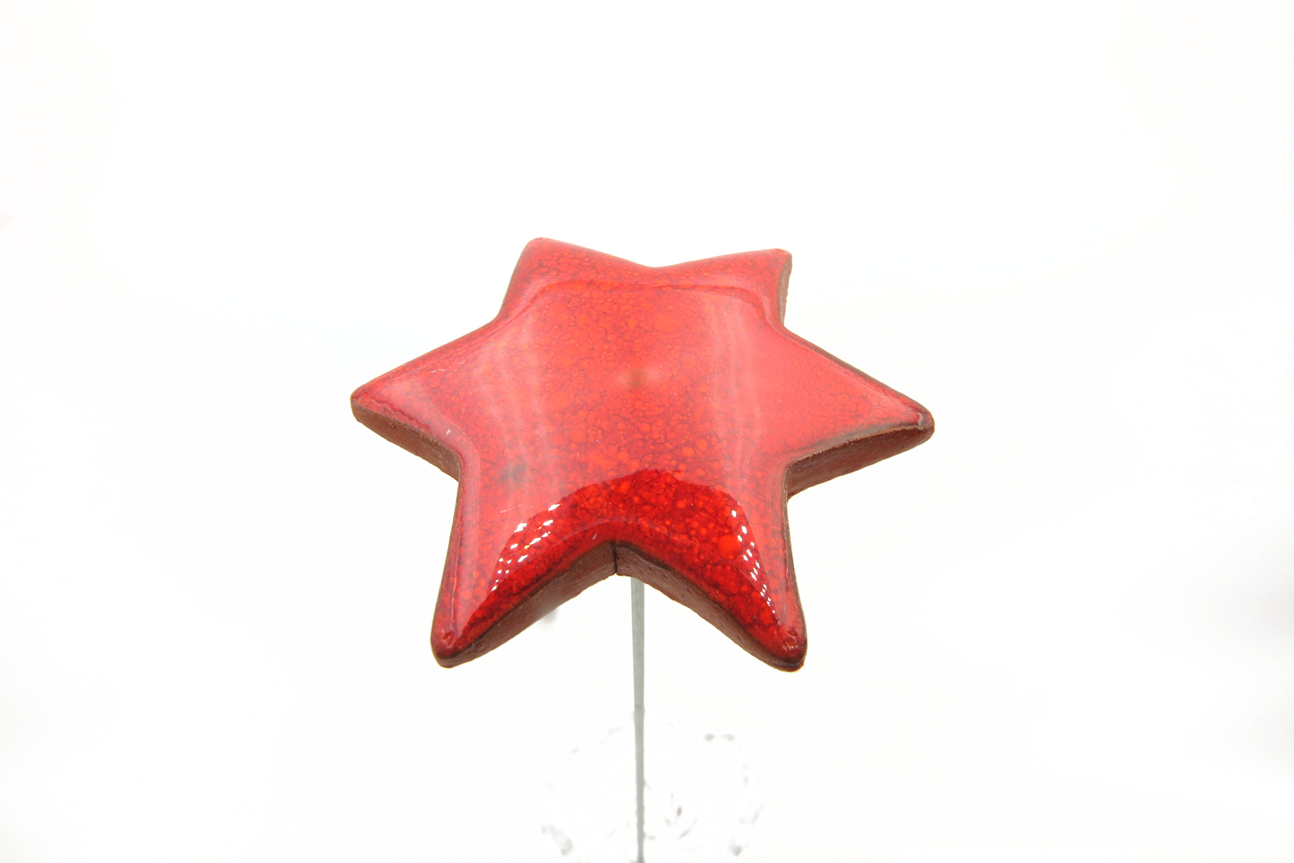Steckblümchen Stern Weihnachten rot/ M 4cm