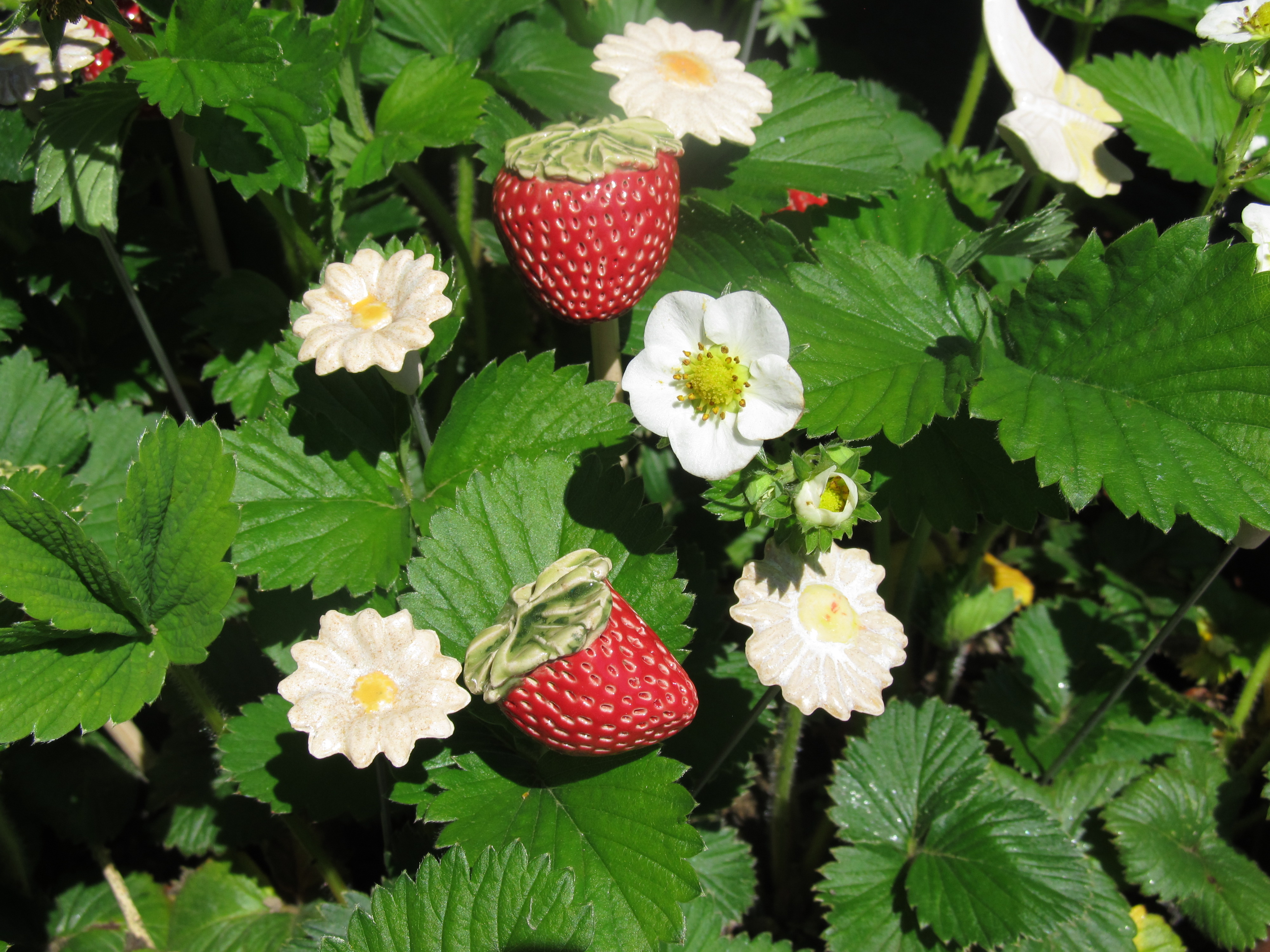 Steckblümchen Erdbeerblüte Creme- Weiß/ 2,5cm