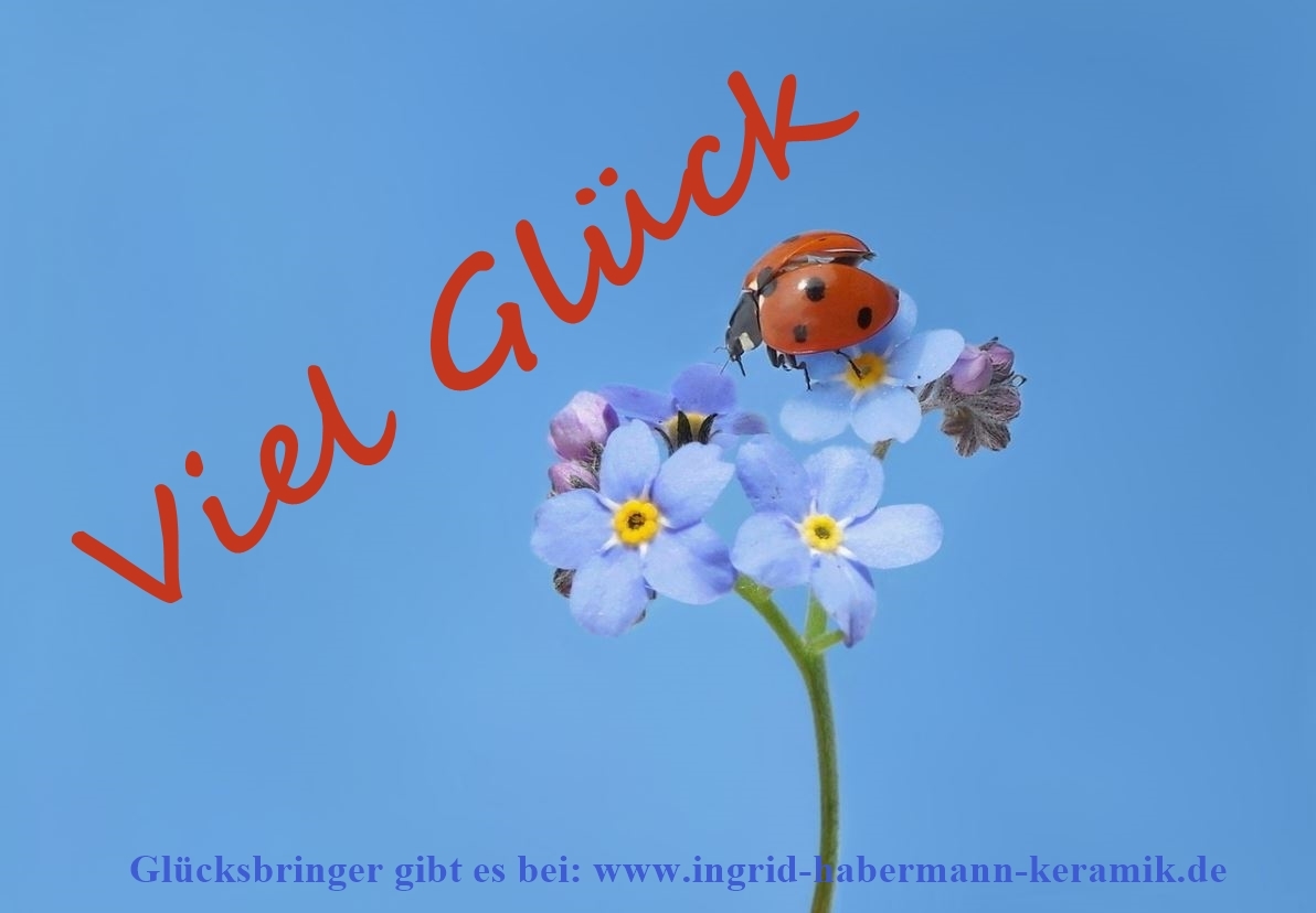 Glücksbringer Glückskäfer Marienkäfer mit lieblicher Glückskäfer-Postkarte / L 8cm